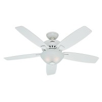 Hunter 53177 Banyan 52-Inch Snow White Ceiling Fan with Five Snow White Blades and a Light Kit - B00ED807Q2